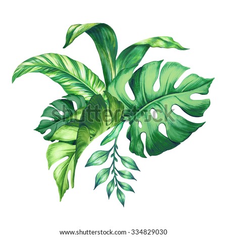 watercolor botanical illustration of green tropical palm leaves, floral arrangement isolated on white background