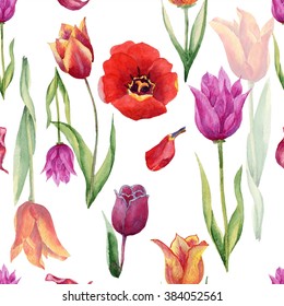 Watercolor Botanical Illustration Parrot Tulip Flower Stock ...