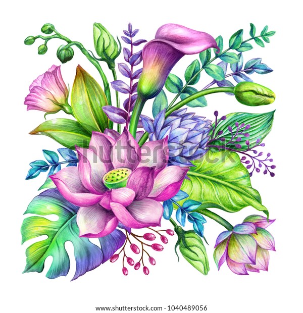 Illustration De Stock De Illustration Botanique A L Aquarelle Arrangement Floral