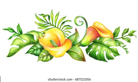 Watercolor Botanical Illustration, Wild Yellow Tropical Flowers, Jungle Green Leaves, Calla Lily, Floral Border, Isolated On White Background