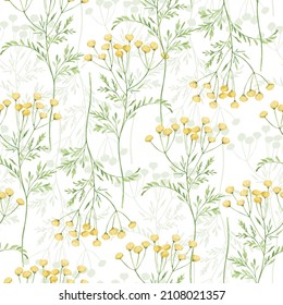 Watercolor botanical seamless pattern Delicate meadow wildflowers. Hand drawn tansy Floral print. For birthday card, invitation, happy easter, mother day, linen, wrapping paper, wallpaper, textile.