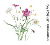 Watercolor botanical set of bouquets of summer meadow flowers. Hand drawn illustration of chamomile and forest Geranium. Yellow white and purple pink flowers and green grass on isolated background.