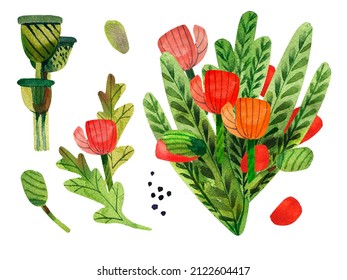 Watercolor Bouguet Set With Poppies. Flowrs And Buds. A Box With Seeds.