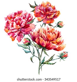 watercolor bouquet of peonies, red peony, botanical card, pink flowers