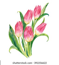 Watercolor A Bouquet Of Spring Tulips