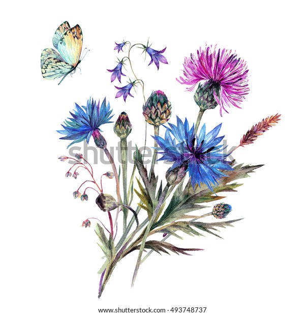 夏の野草の水彩ブーケ 手描きのコーンフラワー アザミ ベルフラワー 牧草地のハーブ 蝶 ビンテージスタイルの植物イラスト 花 柄 みすぼらしいシックなデザインの田舎 のイラスト素材