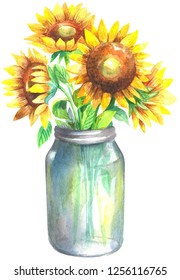 Watercolor bouquet of sunflowers. Watercolor painting isolated on white background.