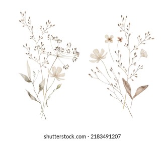 Watercolor Bouquet With Wild Plants And Flowers. Meadow Dried Wildflowers. Elegant Ethereal Nature, Floral Arrangements