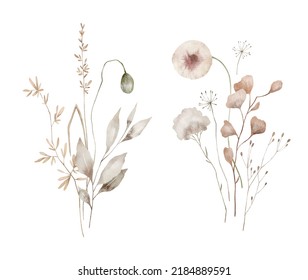 Watercolor Bouquet With Wild Plants And Flowers. Meadow Dried Wildflowers. Elegant Ethereal Nature, Floral Arrangements