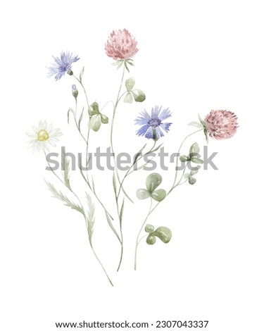 Watercolor Bouquet with Wildflowers. Clover Plants. Design for Card on the white Background.