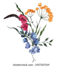 Watercolor bouquet with wildflowers, herbs, leaves, isolated on white background