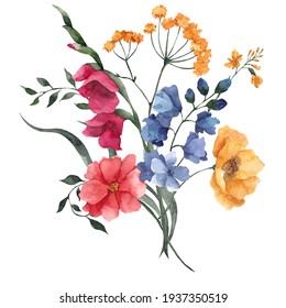 Watercolor bouquet with wildflowers, herbs and leaves, isolated on white background