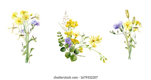 Watercolor bouquets of blue and yellow wild flowers