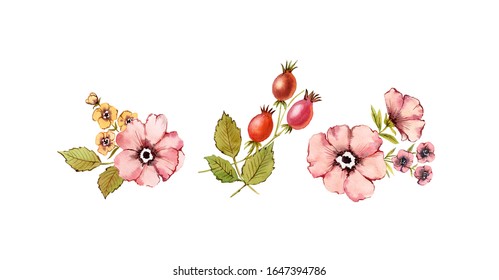 Watercolor bouquets set. Shabby Rose flowers. Dusty pink briar, rose hip, fruits, leaves, isolated on white background. Hand painted natural illustration collection in vintage colors 