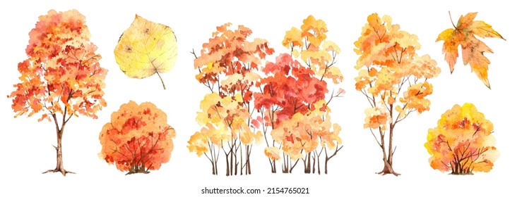 Watercolor Bright Autumn Trees, Orange Background, Fall Leaf