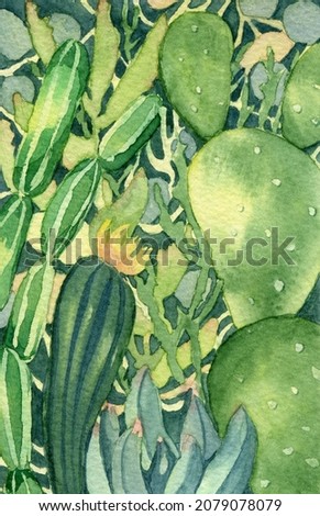 Watercolor bright illustration of succulents. A hand-drawn clipart with a southern mood. Children's, tropical, multiolor cacti.