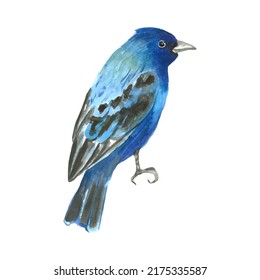 Watercolor Bright Turquoise Blue Bird Clipart Element Isolated On White Background. Ornithology Indigo Bunting Illustration. Wildlife Hand Drawn Object For Decor, Design, Scrapbook, Poster, Print.