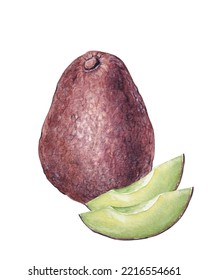 Watercolor Brown Avocado And Two Pieces Of Avocado