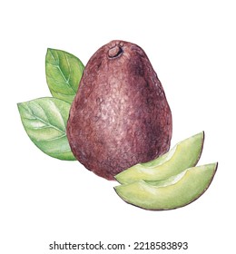 Watercolor Brown Avocado, Two Pieces Of Avocado And Leaves