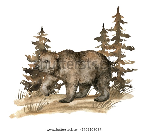 Watercolor Brown Bear Forest Landscape Realistic Stock Illustration ...