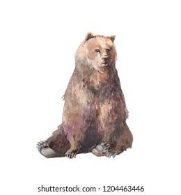 Watercolor Brown Bear Illustration Isolated Animal Stock Illustration ...