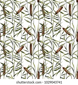 Watercolor bulrush seamless pattern