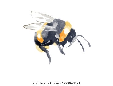 Watercolor Bumble Bee Clipart Illustration Isolated Stock Illustration ...