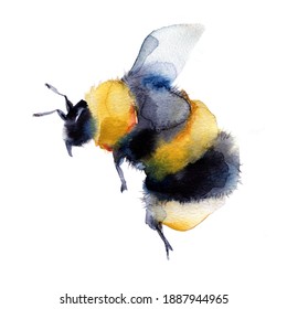 Watercolor Bumblebees Flight Hand Painted Summer Stock Illustration 