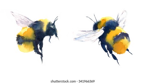 Watercolor Bee Images, Stock Photos & Vectors | Shutterstock