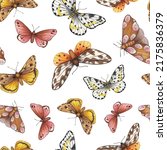 Watercolor butterflies and moths on a white background. Seamless background with floral vintage pattern, wallpaper. A hand-drawn illustration.