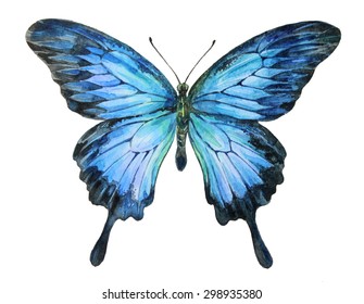 Vector Watercolor Butterfly Ulysses Butterfly Papilio Stock Vector ...