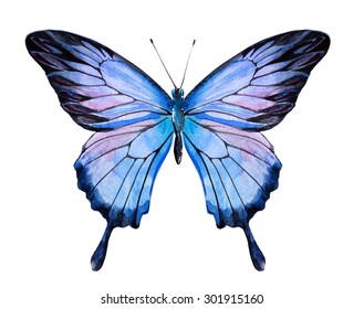 Vector Watercolor Butterfly Ulysses Butterfly Papilio Stock Vector ...