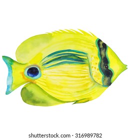 1,109 Painted butterfly fish Images, Stock Photos & Vectors | Shutterstock