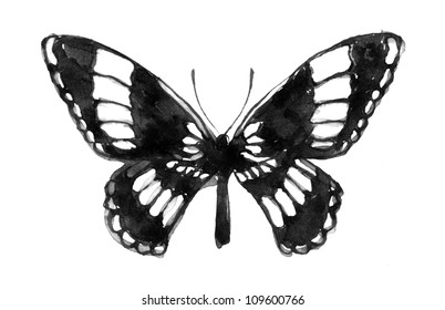 Watercolor Butterfly Hand Painted Stock Illustration 109600766 ...