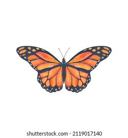 Watercolor Butterfly Isolated On White Background. Bright Monarch Butterfly With Orange Wings. Hand Painted Clipart