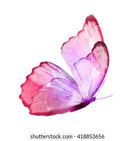 Watercolor Butterfly Isolated On White Stock Illustration 422665156