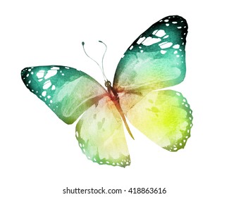 Watercolor Butterfly, Isolated On White Background