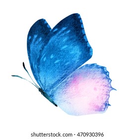 Watercolor Butterfly Isolated On White Stock Illustration 470930396 ...