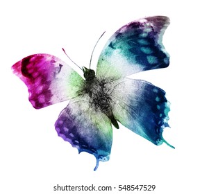 Watercolor Butterfly Isolated On White Stock Illustration 548547529 ...