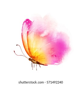 Watercolor butterfly, isolated on white background