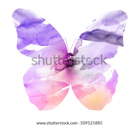 Watercolor butterfly, isolated on white