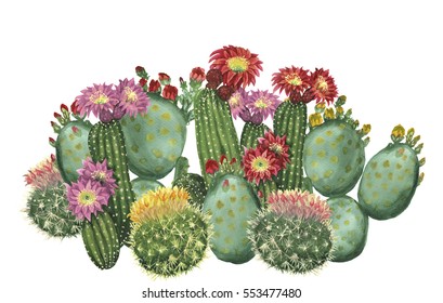 Watercolor Cactus Border Isolated On White Background