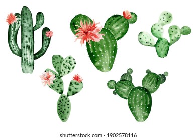 Watercolor Cactus Clipart, Blooming Cactus, Tropical Decoration For Birthday, Tropical Wedding, Beach Party, Poster