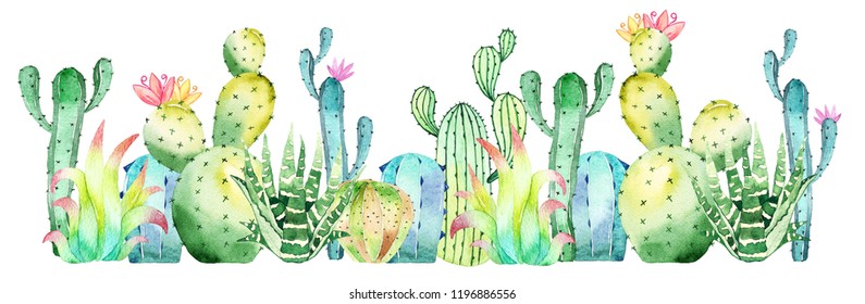 Watercolor Cactus, Succulent Border Isolated On White Background
