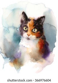 Calico Cat Portrait Stock Illustrations Images Vectors Shutterstock This tutorial shows the sketching and drawing steps from start to finish. https www shutterstock com image illustration watercolor calico cat hand drawn pet 366976604