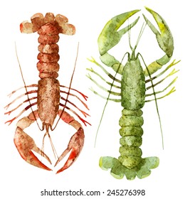 Watercolor, Cancer, Crab, Lobster, Shrimp,