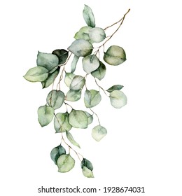 Watercolor card of eucalyptus branches, seeds and leaves. Hand painted silver dollar eucalyptus bouquet isolated on white background. Floral illustration for design, print, fabric or background.