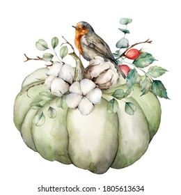Watercolor card with robin redbreast, cotton, pumpkin and eucalyptus leaves. Hand painted bird and gourd isolated on white background. Floral illustration for design, print, fabric or background.