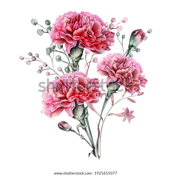 Watercolor carnation clipart,  Dusty pink\
carnation for Mother\'s day card,  Watercolor  boho roses isolated.\
Red carnation frames, Mother\'s day greeting\
card