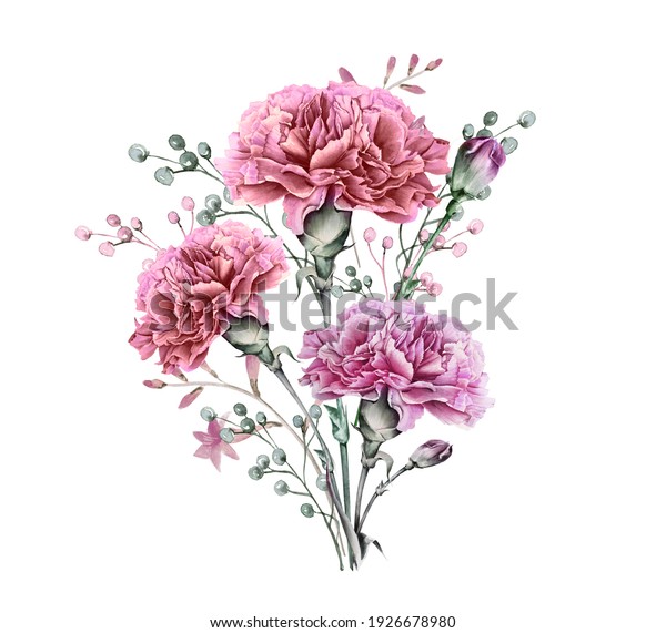 Watercolor carnation clipart,  Dusty pink
carnation for Mother's day card,  Watercolor  boho roses isolated.
Red carnation frames, Mother's day greeting
card